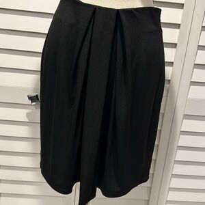 Ann Taylor NWT Lined pleated front detail Skirt with side zipper.
